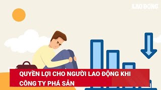 Quyền lợi cho người lao động khi công ty phá sản | Báo Lao Động