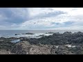 ucluelet amphitrite point