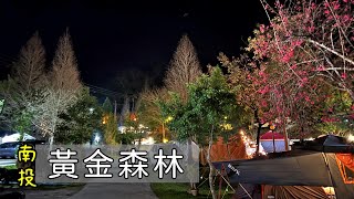 南投黃金森林 Camping #1 | 親子露營 / 生態導覽 / 手作比薩 / 3天2夜 / 寫生 / Coleman MDX+露營地圖迷你桌+樂趣椅+琺瑯餐具組 / Iwatani 黑武士