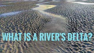 What is a river's delta?