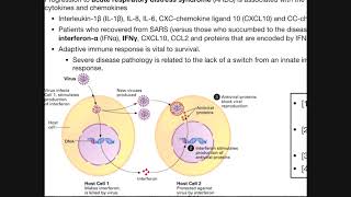 How Can Coronavirus Harm You? | SARS-CoV-2 Pathophysiology