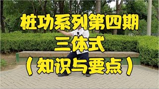 【桩功】桩功系列第四期！三体式的知识与要点！