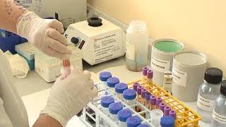 04 Isolation of DNA from Blood