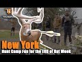 New York Rut Week Finale - Make Hunt Camps Great Again!