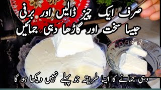 Add one thing and make thick yogurt |اب گاڑھا دہی جمانا ہوا آسان صرف ایک چیز سے |  Nazli Vlogs