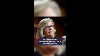 Liz Cheney Blasts Republicans After Big Loss in Wyoming Primary