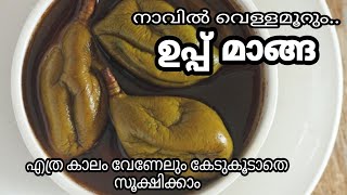 കണ്ണിമാങ്ങാ അച്ചാർ|ഉപ്പ് മാങ്ങാHow to Make Tender Mango Pickle|Kannimanga Achar Recipe in Malayalam