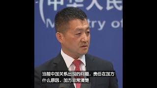 陆慷：中加关系出现的问题，责任在加方