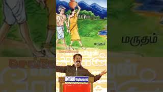 என்ன புளுகுற சீமான் ||யார் தமிழர்கள்?? || நாம் தமிழர் ||செவ்வேள்