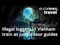 Vietnam's new tour guides were illegal loggers until this innovative programme came along