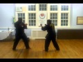 Yu Shin Hapkido Skills