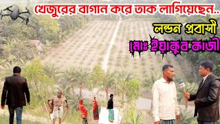 শরীয়তপুর, সখিপুরে রসের চাহিদা মেটাতে লন্ডন প্রবাসী খেজুরের বাগান করে তাক লাগিয়েছেন | Damudya tv .