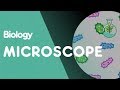 How to use a Microscope | Cells | Biology | FuseSchool