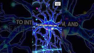 BME Jobs: Neural Engineering Researcher – Works on Brain-computer Interfaces or Neuroprosthetics