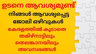 കേരളത്തിലെ ഇന്നത്തെ ജോലി ഒഴിവുകൾ കൂടാതെ തെലുങ്കാനയിലും തമിഴ്നാട്ടിലും അവസരങ്ങൾ all kerala jobs 2024