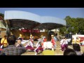 浜松学生連　鰻陀羅　2014　豊橋まつり舞踊三昧　松葉公園会場