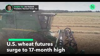 Wheat futures climb to 17-month high on strong demand