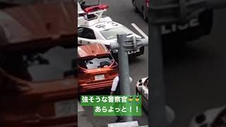 警察　警察官　パトカー３台緊急出動！！緊急走行！パトカー３台！👮‍♀️#警察 #警察24時 #新宿 #緊急走行 #緊急出動 #職質 #パトロール#職質 #取り締まり