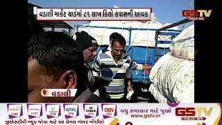 Sabarkantha : વડાલી માર્કેટ યાર્ડમાં 81 લાખ કિલો કપાસની આવક | Gstv Gujarati News