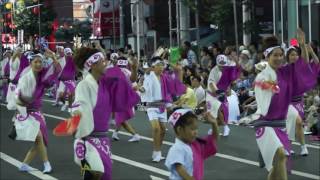 南越谷阿波踊り・きむら連・２０１６