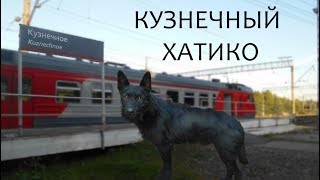 Кузнечный Хатико | Путешествие на грузовых поездах | Трейнхоп