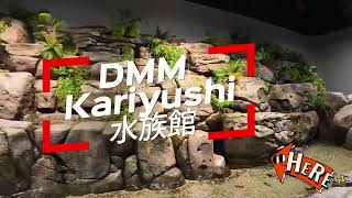 2024/11/11 沖繩小旅行 2 DMM Kariyushi水族館 #沖繩 #親子旅遊 #水族館