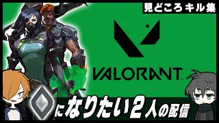 【見どころクリップ】シルバー目指す2人のコンペ【VALORANT/配信切り抜き】