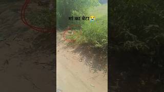 इस भाई की पूरी वीडियो देखना/#video/#youtube/#shorts