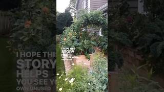 Here’s how I turned this unused side yard into a garden oasis☺️🌿#gardening #gardendesign #plants