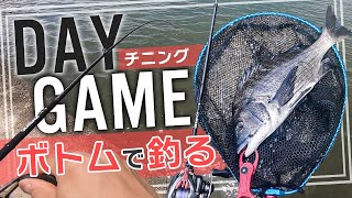 【チニング】ボトムでのアクションがキモ!定番の釣り方で良型チヌを食わせました【デイゲーム】