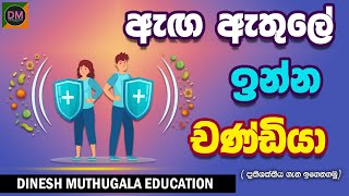 ඇග ඇතුලේ ඉන්න චණ්ඩියා | Dinesh Muthugala Education