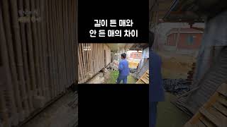 길이 안 든 매의 식사법 #shorts