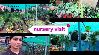 Nursery visit//Tumkur// ಹೂ ಗಿಡಗಳ ನರ್ಸರಿ//#hallisakhi