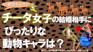 【動物占い：チータ女子編】もう恋人選びに失敗したくない、自分に合う結婚相手を知りたい！そんな女性は絶対に見てください。　個性心理学 麻布十番カフェ