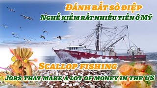 Đánh bắt sò điệp ở Mỹ /Scallop fishing ,in the US