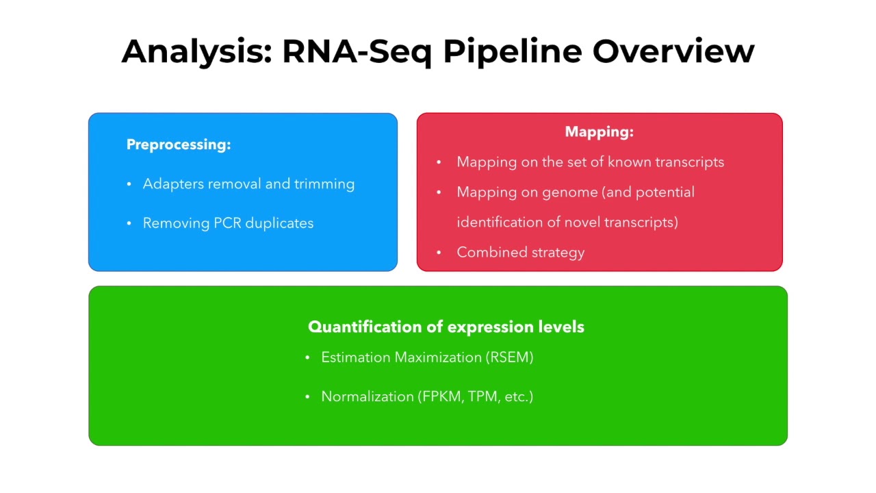 Transcriptomics 1 Summary Youtube