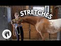 HORSE STRETCHES THAT RELIEVE TENSION