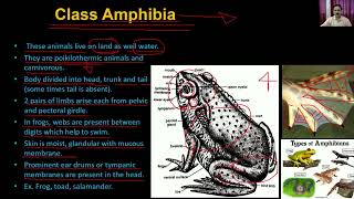 Biology Class 11 Unit 02 Chapter 05 Animal Kingdom L  5/5