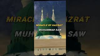 Miracle of Muhammad ﷺ #muhammad #shorts #islam #miracle