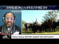 Phala Phala report under the spotlight