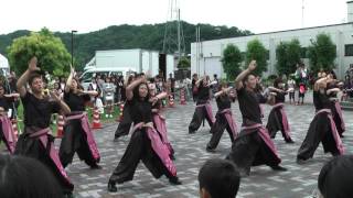 桜華乱舞　花とほたる祭り２０１６　POWER