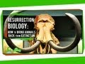 Resurrection Biology: How to Bring Animals Back From Extinction