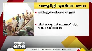 പാലക്കാട് തേങ്കുറിശ്ശി ദുരഭിമാന കൊല: പ്രതികളുടെ ശിക്ഷാവിധി ഇന്ന്