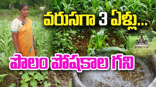 3 ఏళ్లలో భూమిలో బంగారు పంటలు | Inspirational Women Farmer Gouri