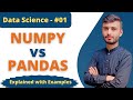 NumPy vs Pandas Explained | Difference Between NumPy and Pandas | Python Data Science Tutorials