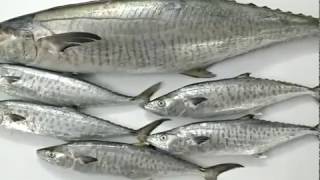 Fresh Seer fish ( Vanjaram meen ) big and small fish cuts | Supreme Seafood .