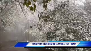 桃園拉拉山再度降雪 巨木區可步行賞雪