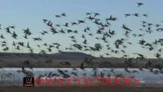 NAVAJO OUTDOORS - Duck Hunting, in New Mexico on the Navajo Nation