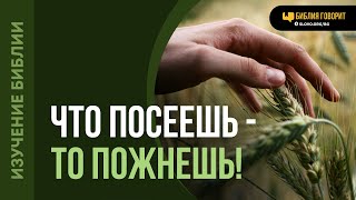 Что значит: «...что посеет человек, то и пожнет»? | \