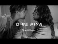 O Re Piya (Slowed + Reverb) || Madhuri Dixit | Rahat Fateh Ali Khan || 11ambrkn Audio